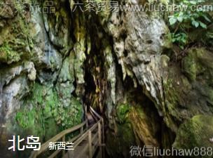 ������-����