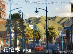 ������-���׺�