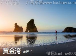 ������-�ƽ���