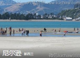 ������-���ѷ