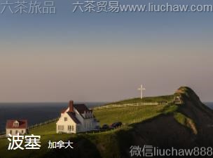 ���ô�-����