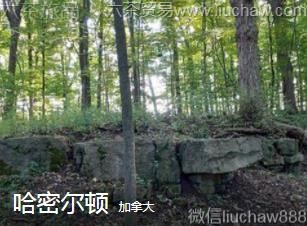 ���ô�-���ܶ���