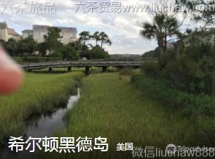 美国-希尔顿黑德岛