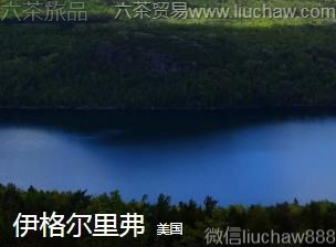 ����-������︥