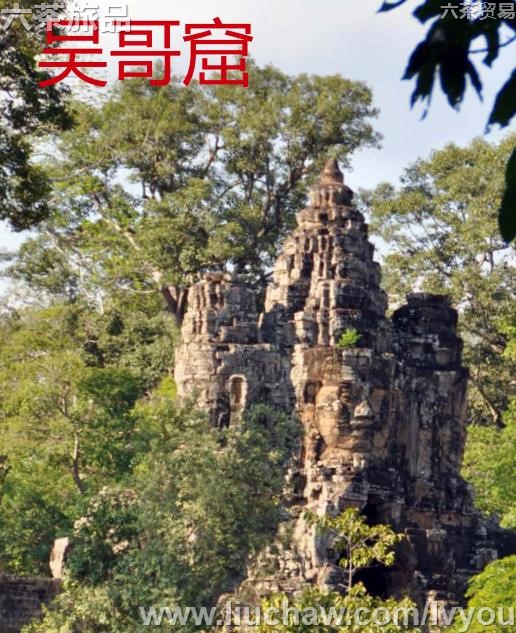 �������ι���---��20Ԫ