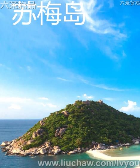 ��÷�����ι���---��20Ԫ