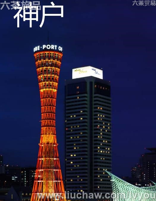 �����ι���---��20Ԫ