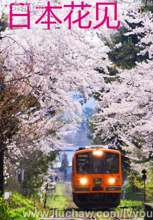日本花见旅游攻略---售20元