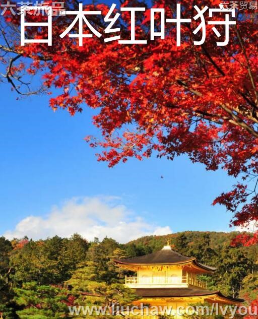 日本红叶狩旅游攻略---售20元