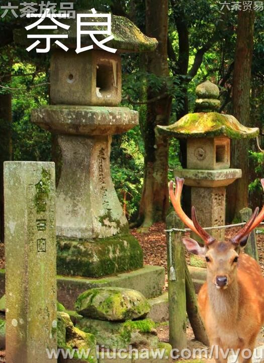 奈良旅游攻略---售20元