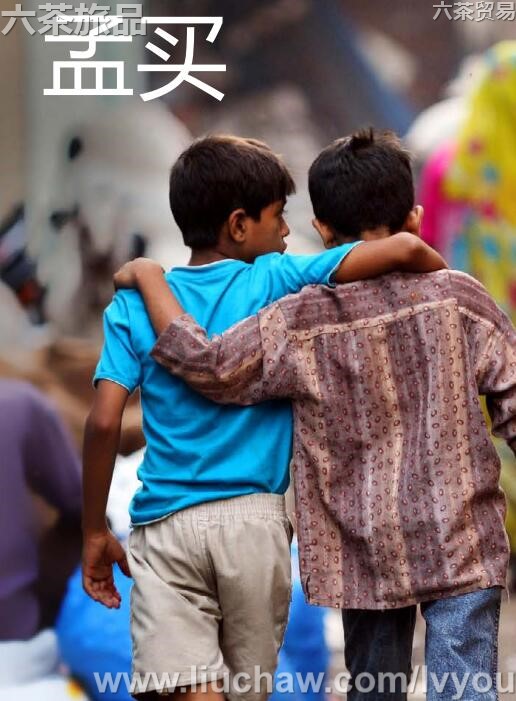 �������ι���---��20Ԫ