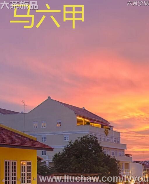 ���������ι���---��20Ԫ