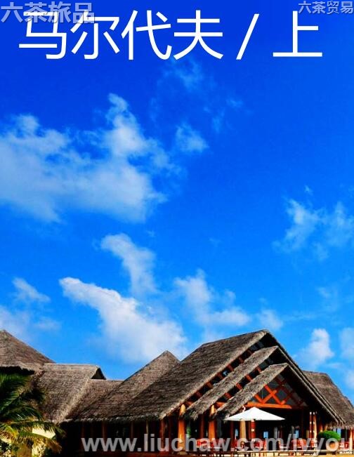 ��������_�����ι���---��20Ԫ