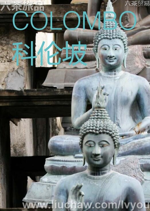 ���������ι���---��20Ԫ