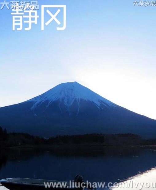 �������ι���---��20Ԫ