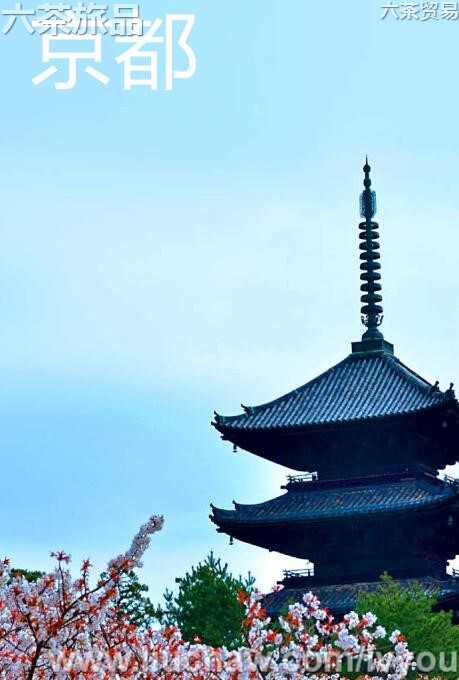 �������ι���---��20Ԫ