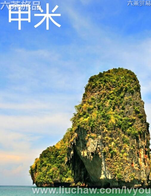 �������ι���---��20Ԫ