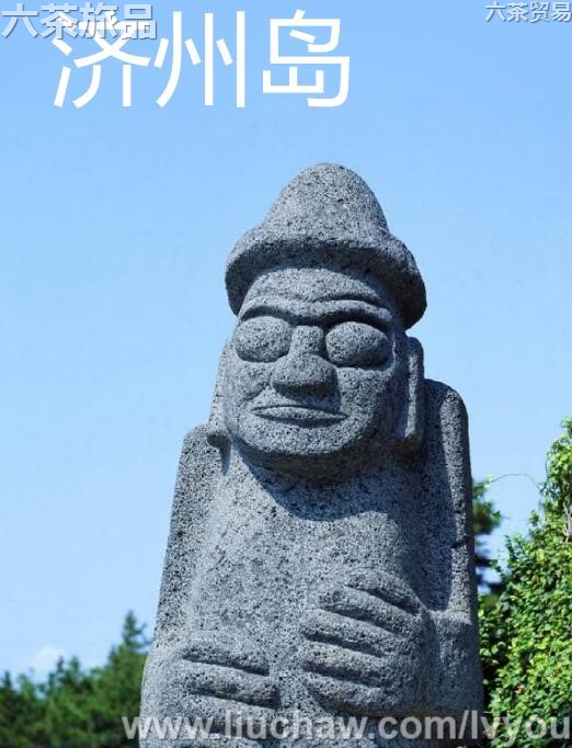 ���ݵ����ι���---��20Ԫ