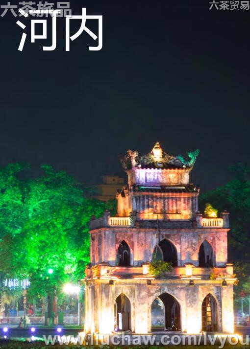 �������ι���---��20Ԫ