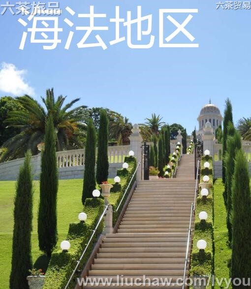 �����������ι���---��20Ԫ