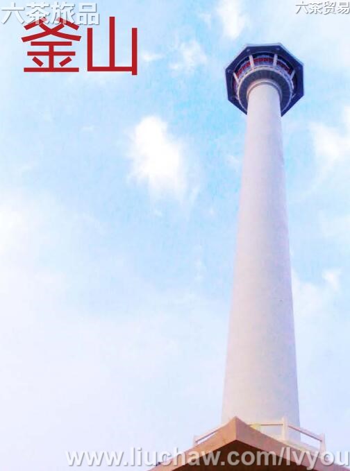 ��ɽ���ι���---��20Ԫ