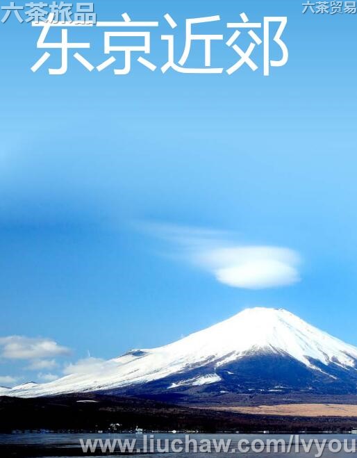 �����������ι���---��20Ԫ