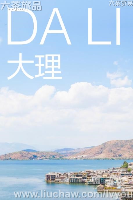 �������ι���---��20Ԫ