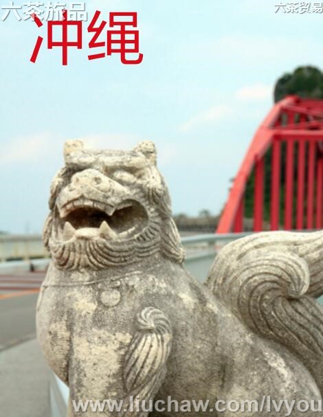 �������ι���---��20Ԫ