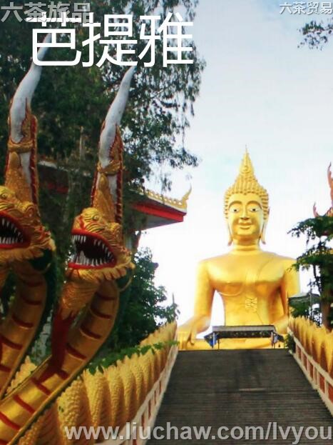 ���������ι���---��20Ԫ