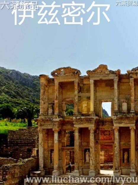 �����ܶ����ι���---��20Ԫ