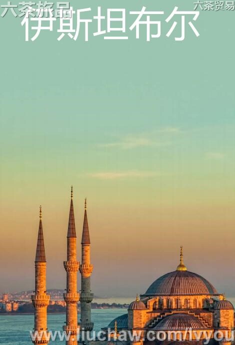 伊斯坦布尔旅游攻略---售20元