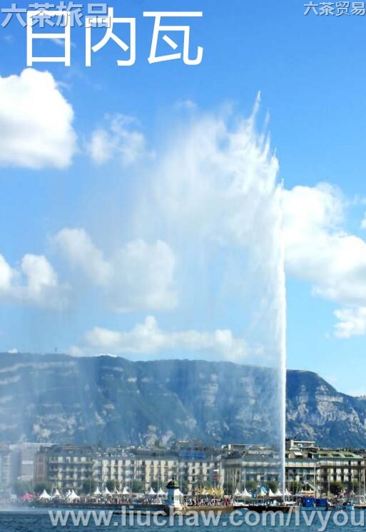 ���������ι���---��20Ԫ