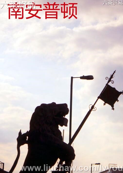 �ϰ��ն����ι���---��20Ԫ