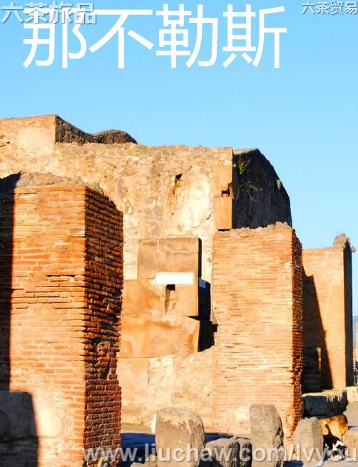 �ǲ���˹���ι���---��20Ԫ