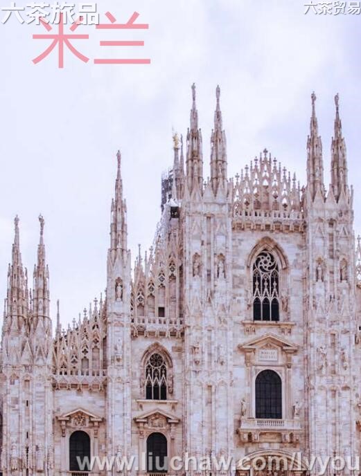 �������ι���---��20Ԫ