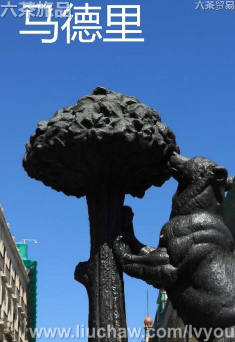 ���������ι���---��20Ԫ