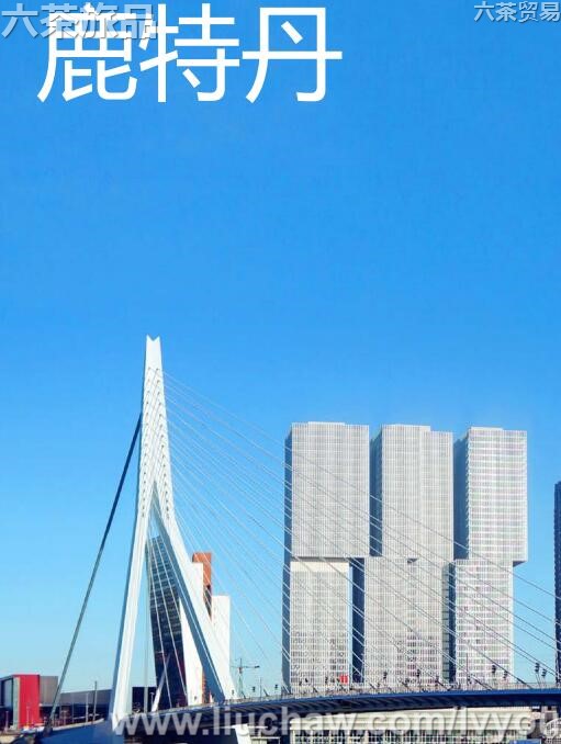 ¹�ص����ι���---��20Ԫ