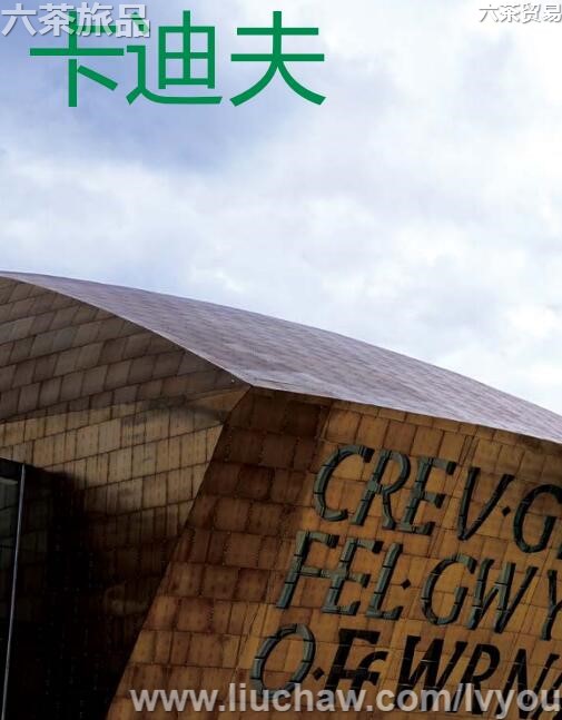 ���Ϸ����ι���---��20Ԫ