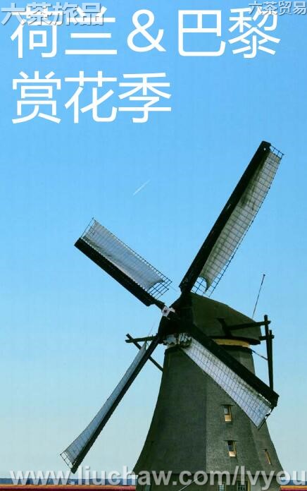 荷兰&巴黎赏花季旅游攻略---售20元