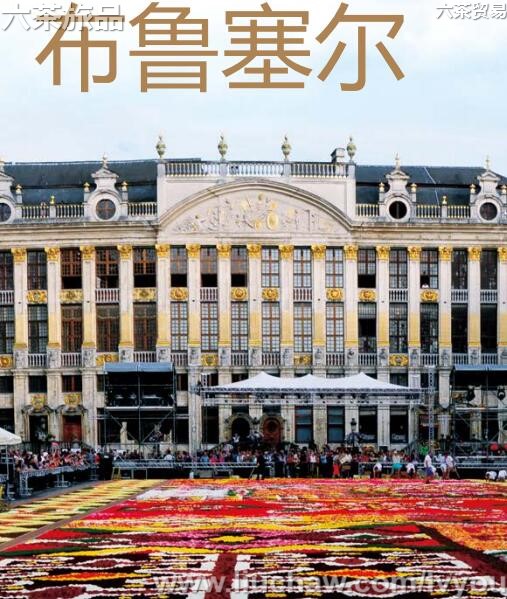 ��³�������ι���---��20Ԫ