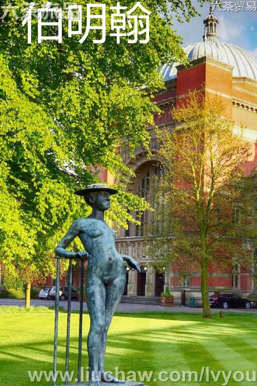 ���������ι���---��20Ԫ