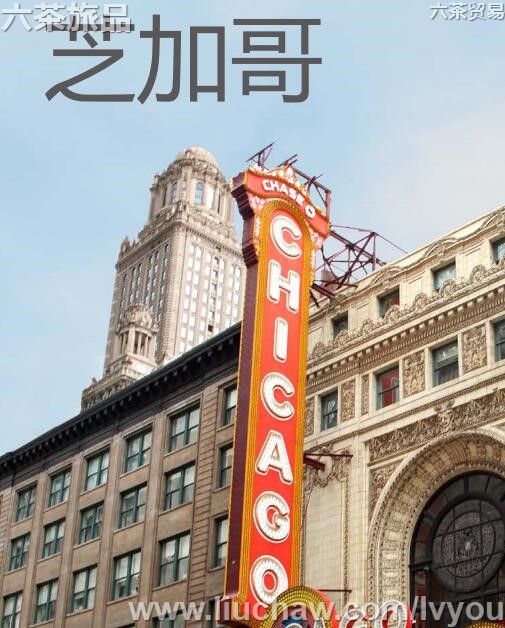 ֥�Ӹ����ι���---��20Ԫ