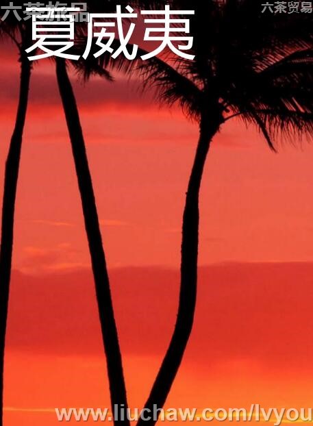 ���������ι���---��20Ԫ