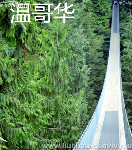 �¸绪���ι���---��20Ԫ