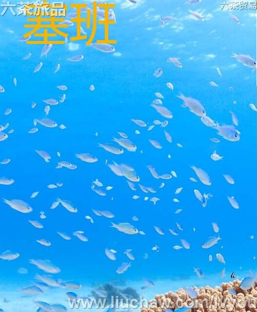 �������ι���---��20Ԫ