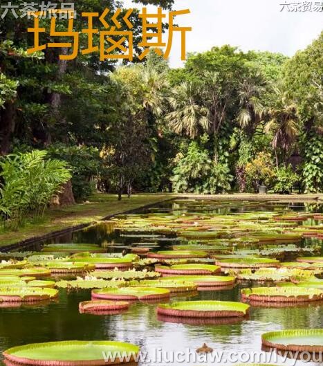 ���˹���ι���---��20Ԫ