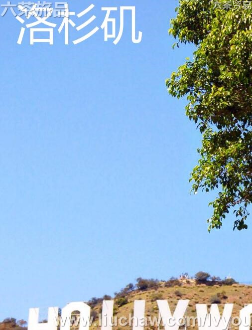 洛杉矶旅游攻略---售20元