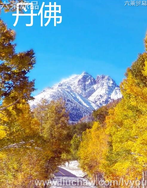 �������ι���---��20Ԫ