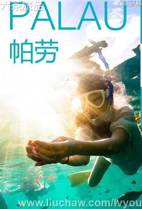 �������ι���---��20Ԫ