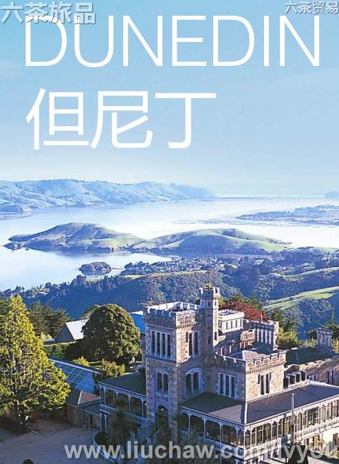 ���ᶡ���ι���---��20Ԫ